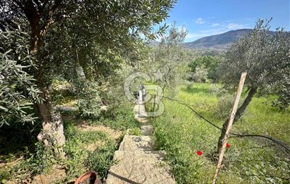 972 m² Bahçede Bağımsız Girişli 3 Katlı Müstakil Ev