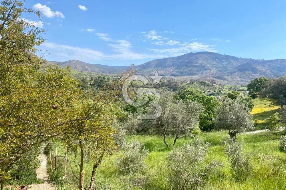 972 m² Bahçede Bağımsız Girişli 3 Katlı Müstakil Ev