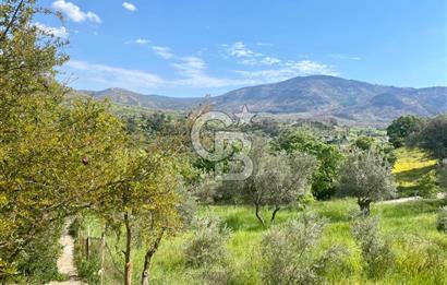 972 m² Bahçede Bağımsız Girişli 3 Katlı Müstakil Ev