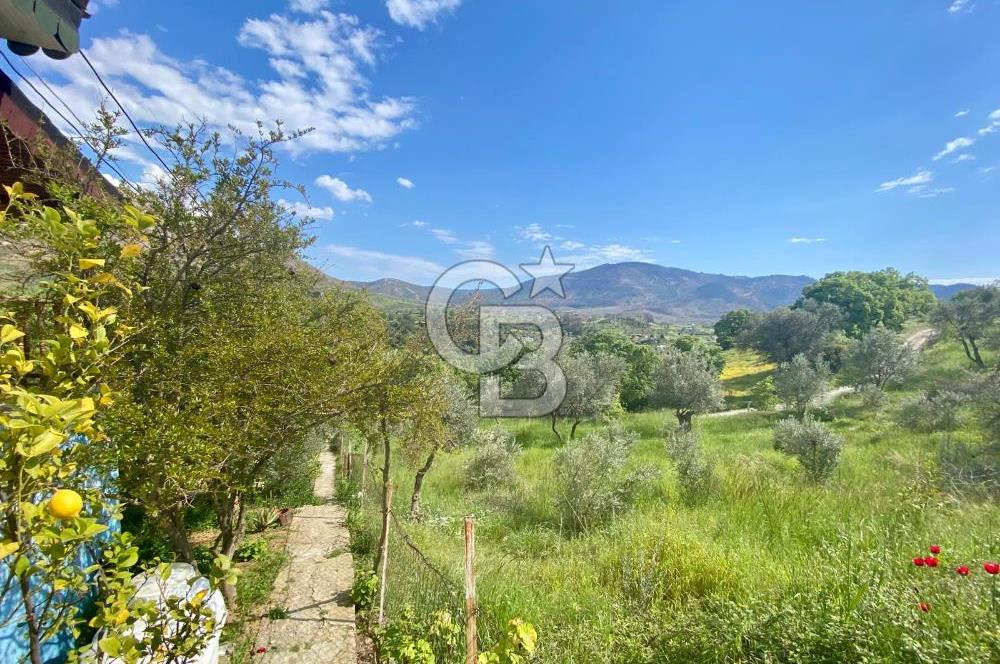 972 m² Bahçede Bağımsız Girişli 3 Katlı Müstakil Ev