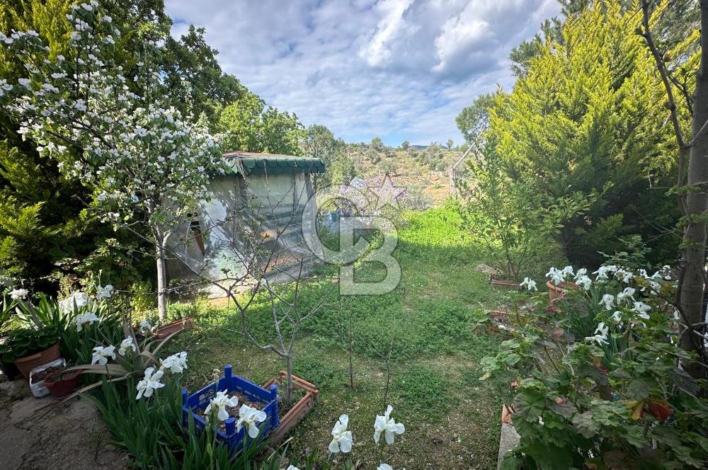 972 m² Bahçede Bağımsız Girişli 3 Katlı Müstakil Ev