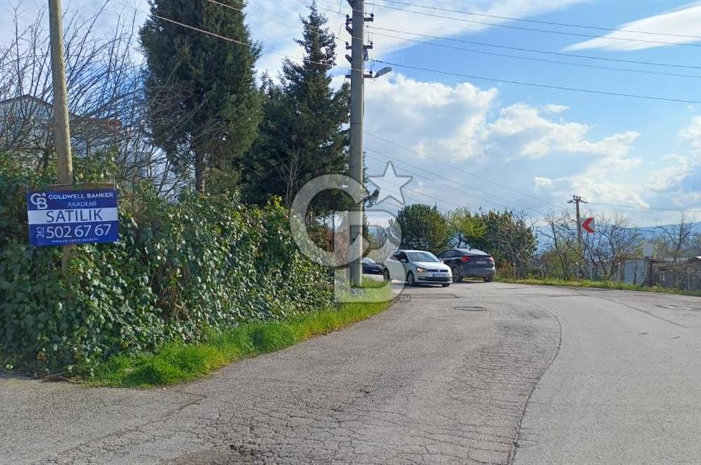 CB AKADEMİ Kabaoğlunda Deniz Manzaralı Köşe Parsel Villa İmarlı