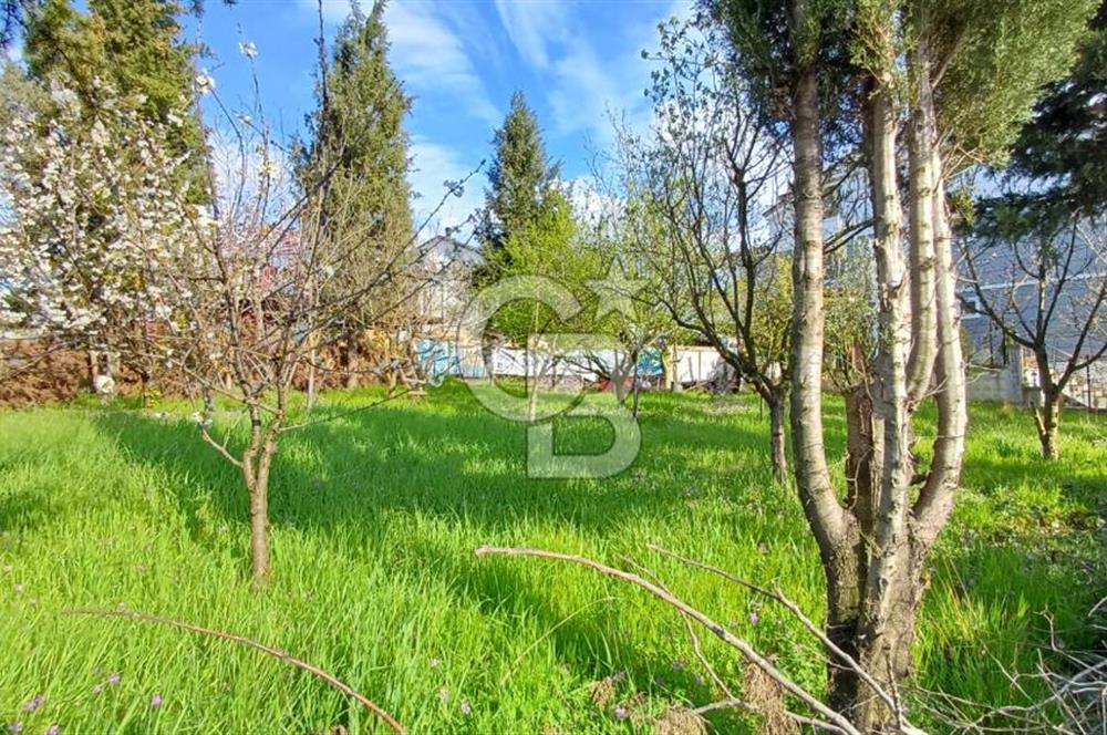 CB AKADEMİ Kabaoğlunda Deniz Manzaralı Köşe Parsel Villa İmarlı