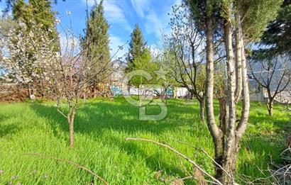 CB AKADEMİ Kabaoğlunda Deniz Manzaralı Köşe Parsel Villa İmarlı