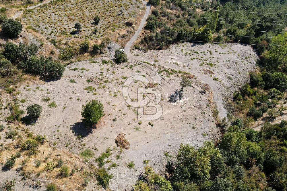  İzmir Karabağlar Kavacık 4.562 m² Yatırımlık Bağ Arazisi