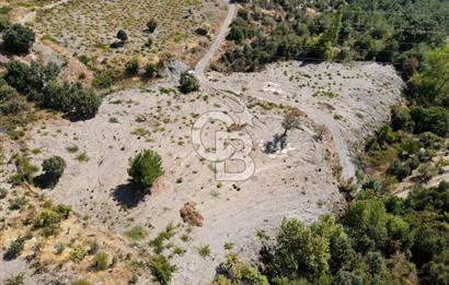  İzmir Karabağlar Kavacık 4.562 m² Yatırımlık Bağ Arazisi