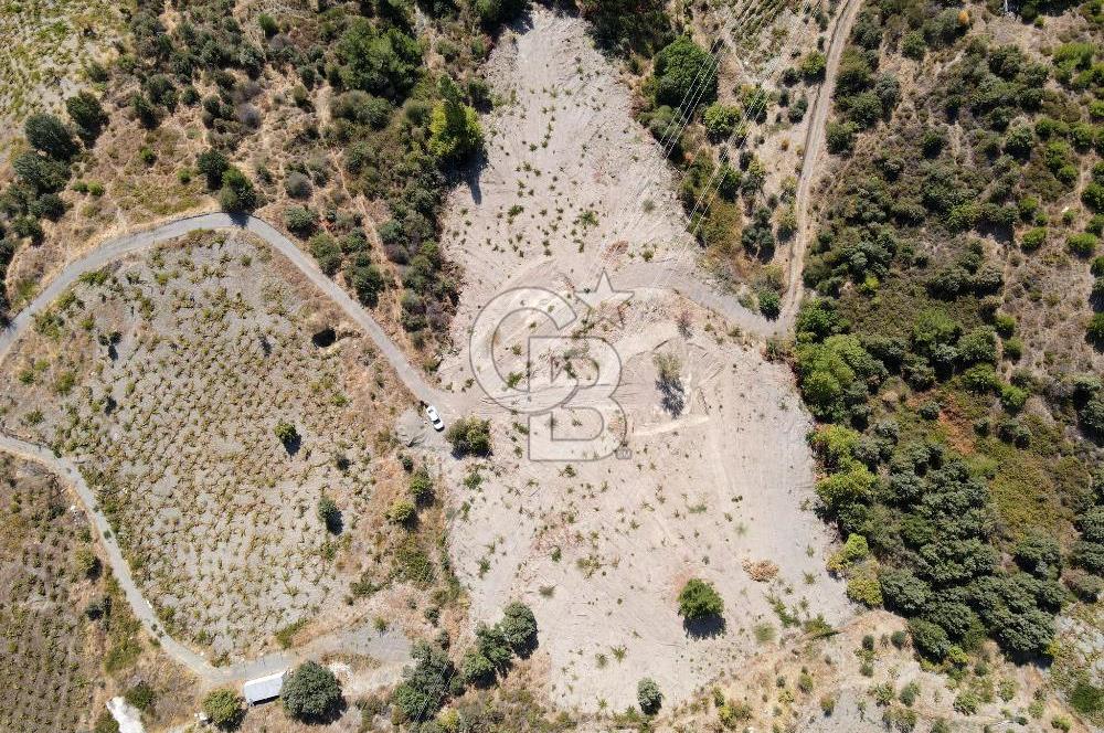  İzmir Karabağlar Kavacık 4.562 m² Yatırımlık Bağ Arazisi