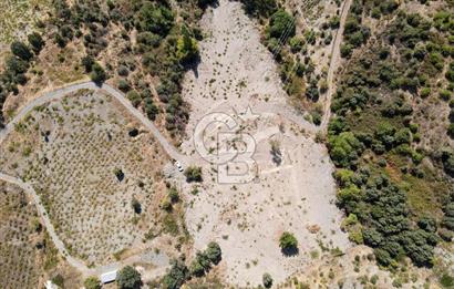  İzmir Karabağlar Kavacık 4.562 m² Yatırımlık Bağ Arazisi