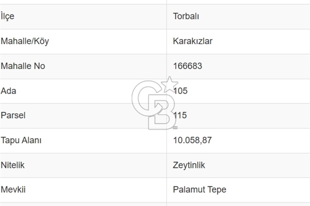 Torbalı Karakızlar'da Satılık Zeytinlik