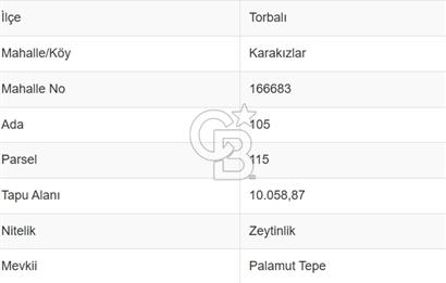 Torbalı Karakızlar'da Satılık Zeytinlik