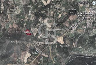 Torbalı Karakızlar'da Satılık Zeytinlik - 7 - 343712