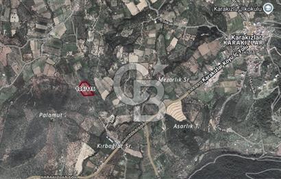 Torbalı Karakızlar'da Satılık Zeytinlik