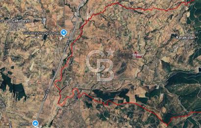 Torbalı Karakızlar Satılık Zeytinlik