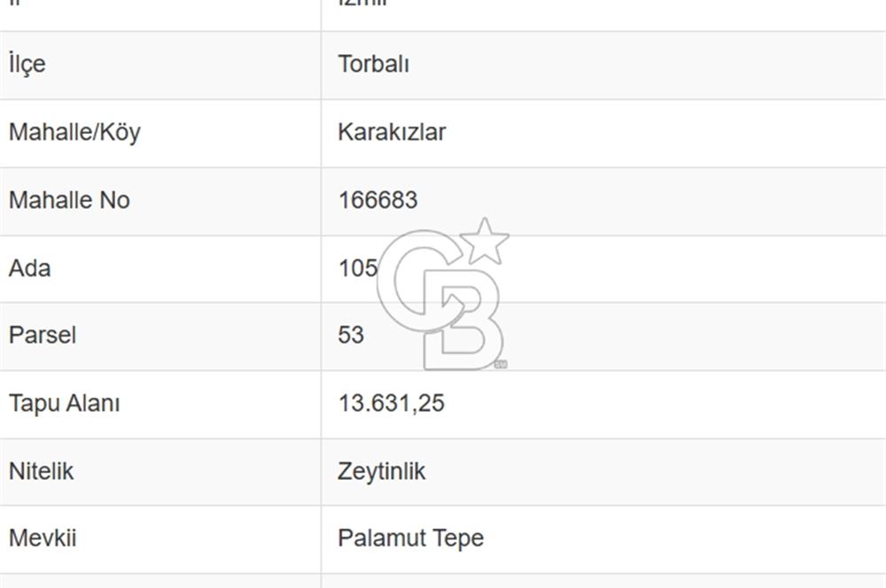Torbalı Karakızlar Satılık Zeytinlik