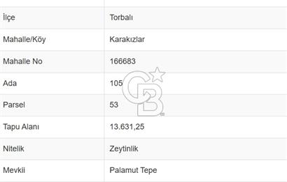 Torbalı Karakızlar Satılık Zeytinlik