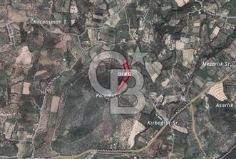 Torbalı Karakızlar Satılık Zeytinlik - 4 - 343715