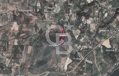 Torbalı Karakızlar Satılık Zeytinlik