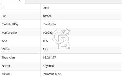 Torbalı Karakızlar Satılık Zeytinlik