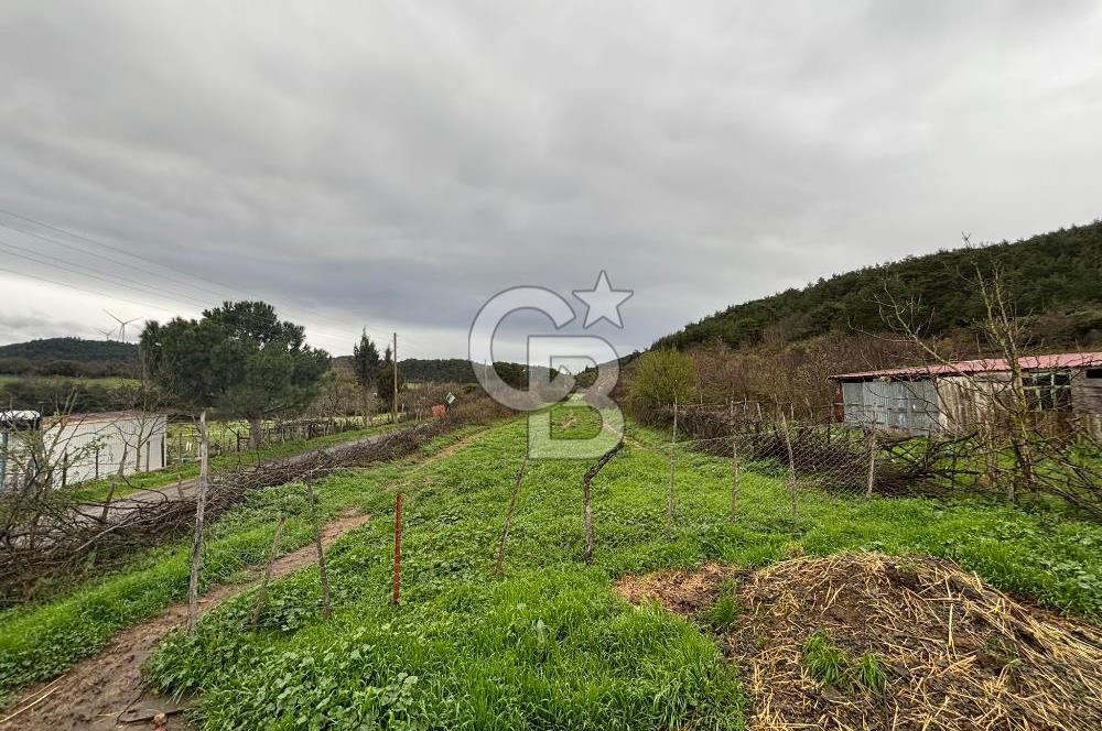 BAYRAMİÇ YAYLACIK KÖYÜNDE DOĞA İLE İÇ İÇE SATILIK BAHÇELİ TAŞ EV