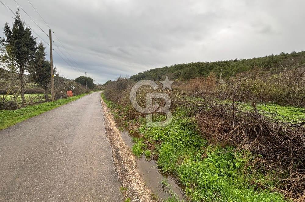 BAYRAMİÇ YAYLACIK KÖYÜNDE DOĞA İLE İÇ İÇE SATILIK BAHÇELİ TAŞ EV