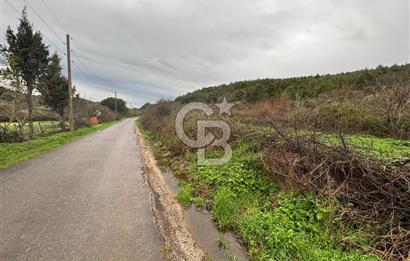 BAYRAMİÇ YAYLACIK KÖYÜNDE DOĞA İLE İÇ İÇE SATILIK BAHÇELİ TAŞ EV