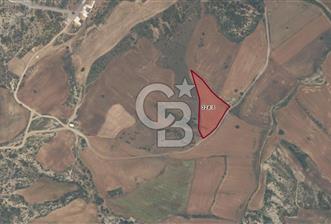 GELİBOLU YENİKÖYDE SATILIK TARLA - 8 - 343711