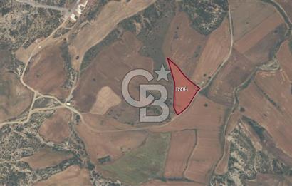 GELİBOLU YENİKÖYDE SATILIK TARLA