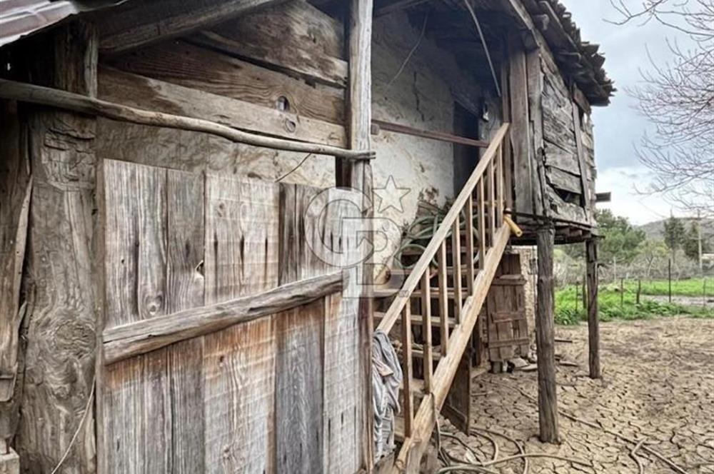 BAYRAMİÇ YAYLACIK KÖYÜNDE DOĞA İLE İÇ İÇE SATILIK BAHÇELİ TAŞ EV