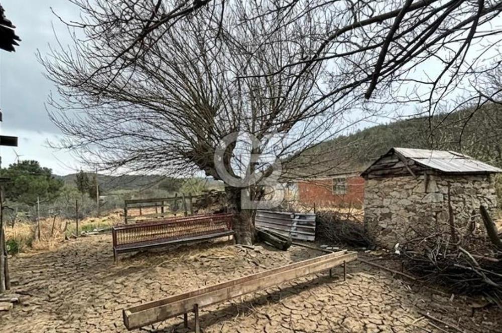 BAYRAMİÇ YAYLACIK KÖYÜNDE DOĞA İLE İÇ İÇE SATILIK BAHÇELİ TAŞ EV