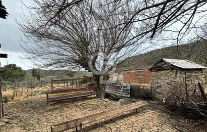 BAYRAMİÇ YAYLACIK KÖYÜNDE DOĞA İLE İÇ İÇE SATILIK BAHÇELİ TAŞ EV