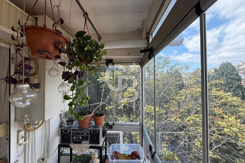 Şemikler Anadolu Caddesi Yakını Önü Açık Ferah Kiralık 3+1 Daire