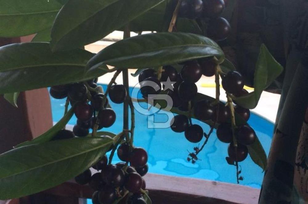 SATILIK BEYKOZDA ELMALI KÖYÜNDE MÜSTAKİL BAHÇELİ EV