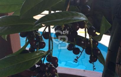 SATILIK BEYKOZDA ELMALI KÖYÜNDE MÜSTAKİL BAHÇELİ EV