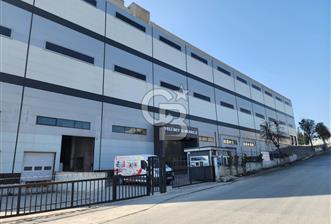 Hadımköy Ömerli Sanayi Kiralık 5.100 M2 Depo - 4 - 343804