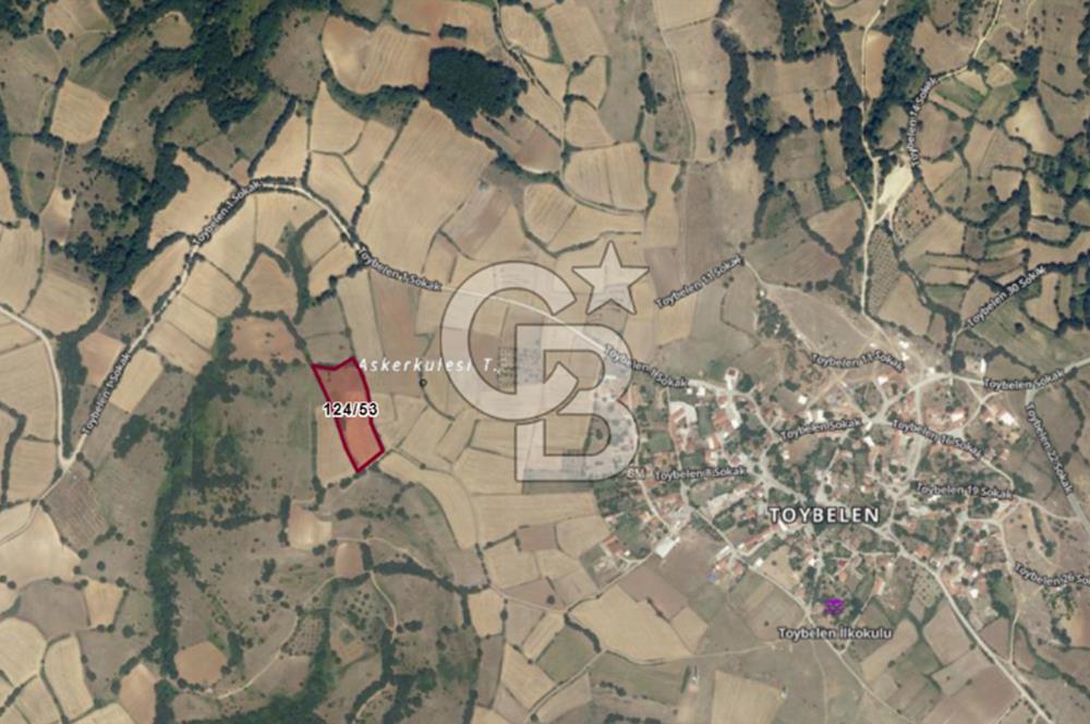 Balıkesir Karesi Toybelen Satılık 8.250 M2 Arazi