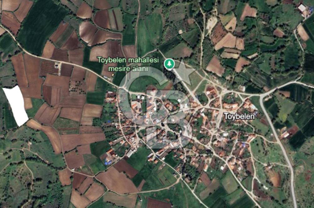 Balıkesir Karesi Toybelen Satılık 8.250 M2 Arazi