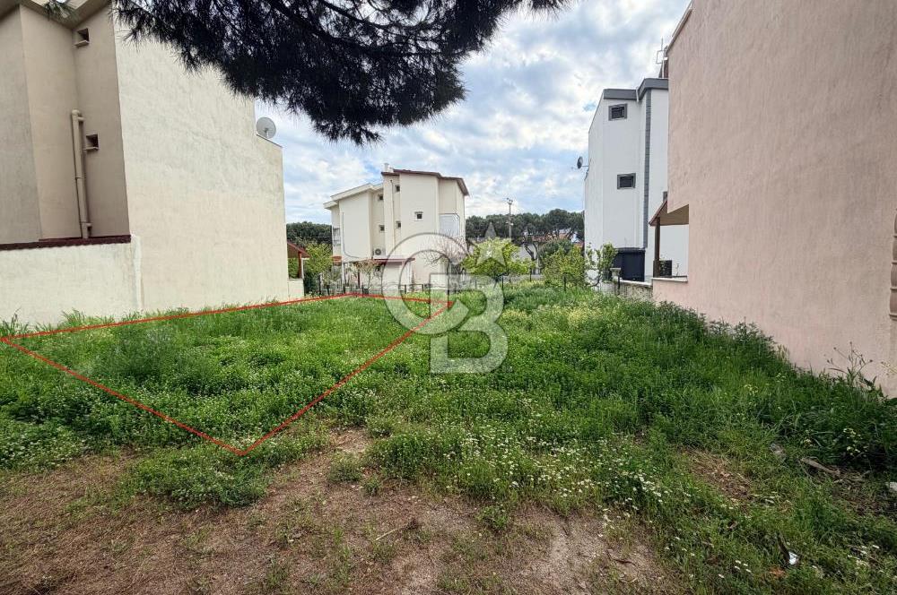 Ayvalık Altınovada Denize 300 Metre Villa İmarlı Fırsat Arsa