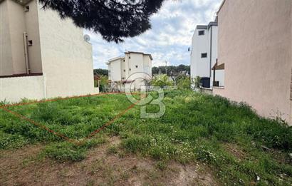 Ayvalık Altınovada Denize 300 Metre Villa İmarlı Fırsat Arsa