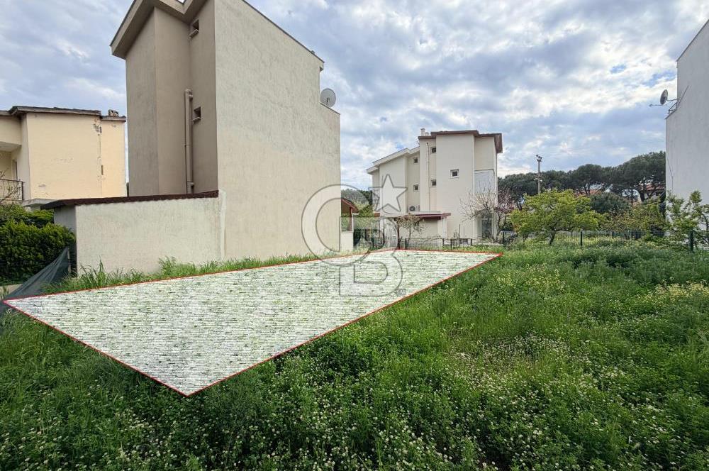 Ayvalık Altınovada Denize 300 Metre Villa İmarlı Fırsat Arsa