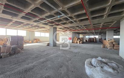 Hadımköy Ömerli Sanayi Kiralık 5.100 M2 Depo