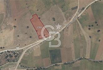 CB BLACK'TEN BİLECİK PAZARYERİ'NDE SATILIK TARLA* - 2 - 343837