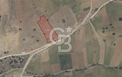 CB BLACK'TEN BİLECİK PAZARYERİ'NDE SATILIK TARLA*