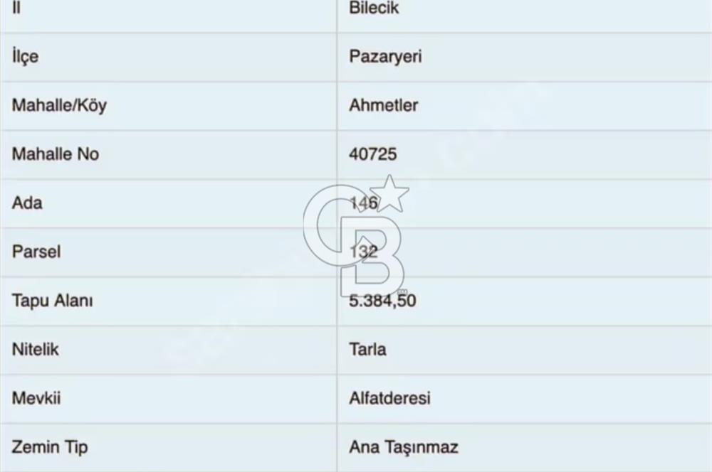 CB BLACK'TEN BİLECİK PAZARYERİ'NDE SATILIK TARLA*