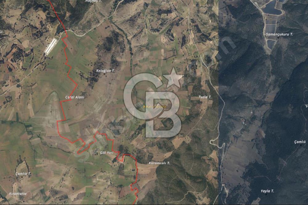 CB BLACK'TEN BİLECİK PAZARYERİ'NDE SATILIK TARLA*