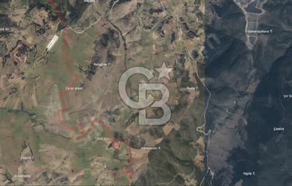 CB BLACK'TEN BİLECİK PAZARYERİ'NDE SATILIK TARLA*