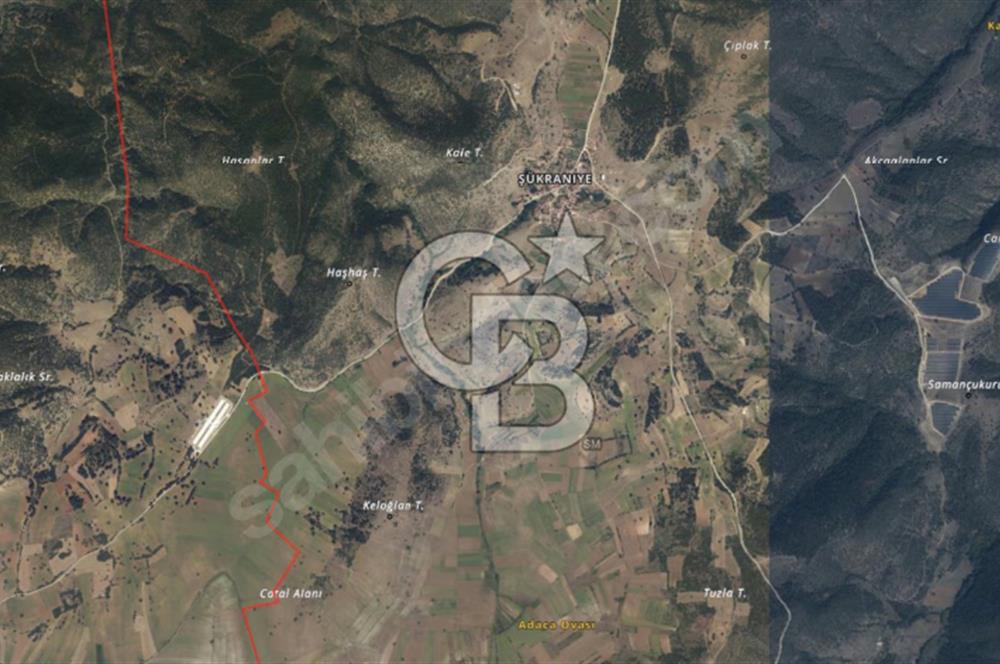 CB BLACK'TEN BİLECİK PAZARYERİ'NDE SATILIK TARLA*