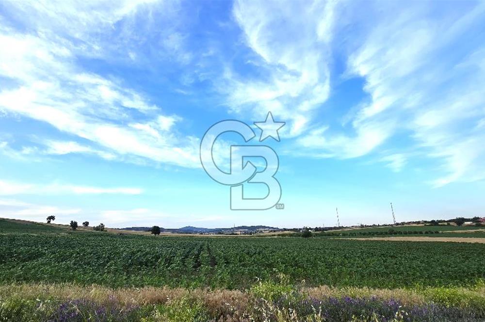 ENEZ'İN EN GELİŞMİŞ KÖYÜNDE EV YAPIMINA UYGUN 7.5 DÖNÜM ARAZİ