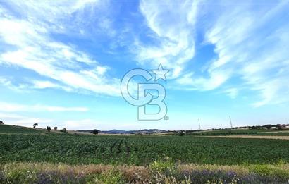 ENEZ'İN EN GELİŞMİŞ KÖYÜNDE EV YAPIMINA UYGUN 7.5 DÖNÜM ARAZİ