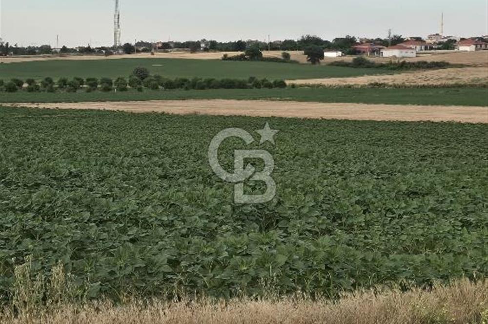 ENEZ'İN EN GELİŞMİŞ KÖYÜNDE EV YAPIMINA UYGUN 7.5 DÖNÜM ARAZİ