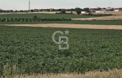 ENEZ'İN EN GELİŞMİŞ KÖYÜNDE EV YAPIMINA UYGUN 7.5 DÖNÜM ARAZİ